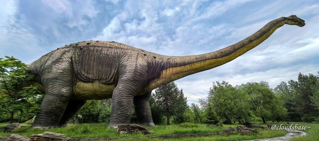 大东北之旅 - 黑龙江.嘉荫