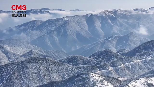 日照金山、水墨画卷、雪林撞色!重庆冬日雪景,每一帧都想保存