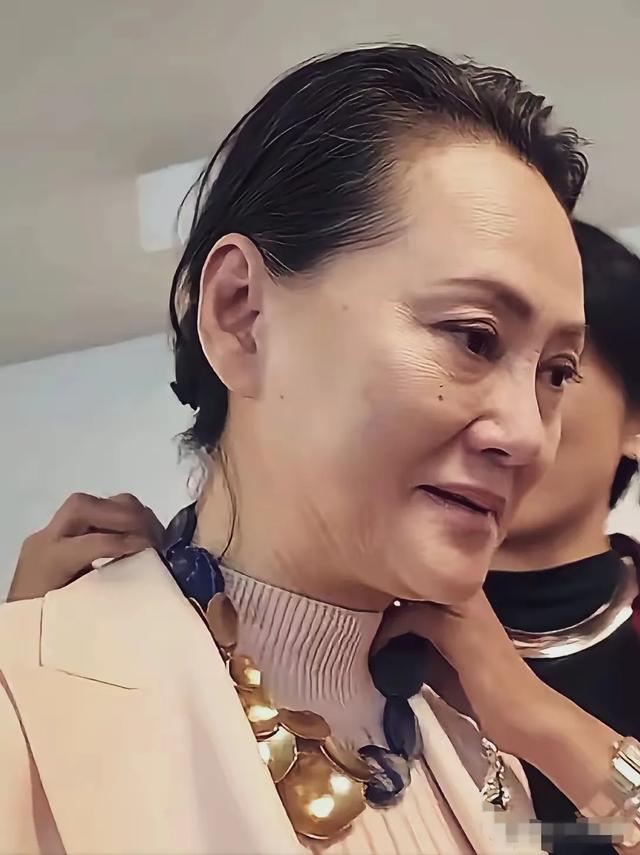 大宋佳也老了，大眼睛，高鼻梁，虽然满脸褶子，但美丽的骨相还在
