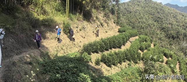 一条古道从浙江到安徽，全程经过三个古村落