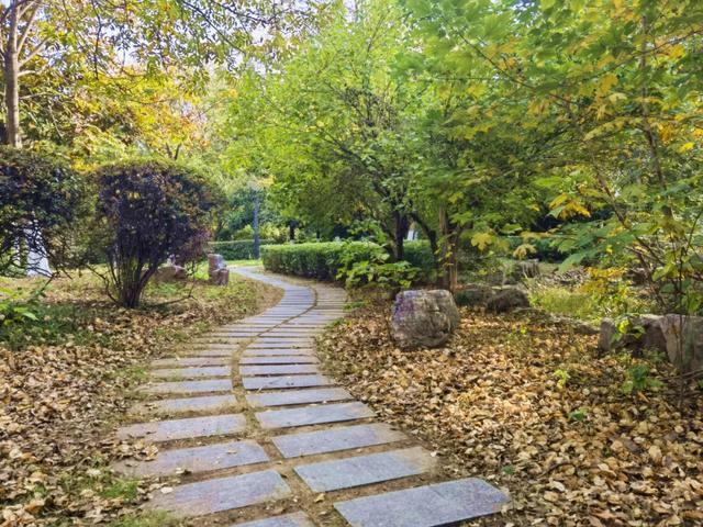 霜染秋深,向暖而行