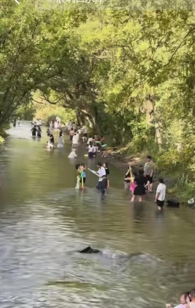 东阳夏日玩水地图:清凉一夏不花钱