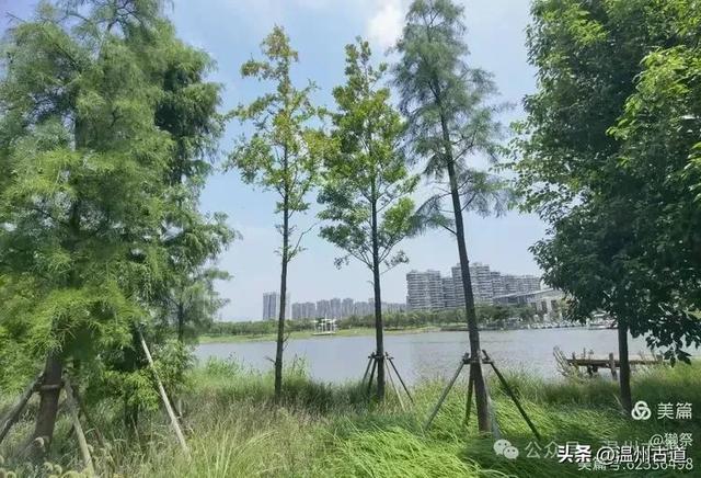 这个集休闲娱乐、运动和生态功能于一体的大型公园你可去过？
