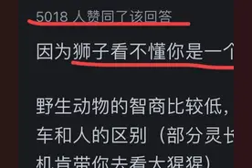 狮子为什么不会攻击坐在敞篷车中的摄影师？网友让我涨知识了！图片