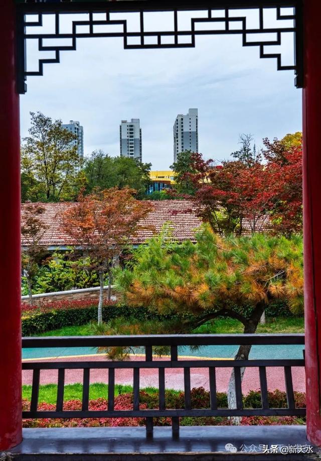 天水弘文园秋景美翻了，快去打卡！