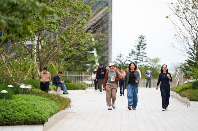 深圳湾“空中魔法走廊”引发广泛关注！2公里长廊开启逛吃游赏新体验