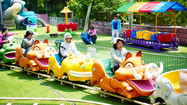 临沂花式闹元宵全攻略：灯会、赏花、优惠、演艺一键收藏！