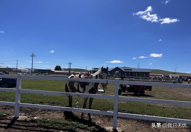 我是成都人，刚从河北丰宁回来，憋了一肚子感受和疑问不吐不快。
