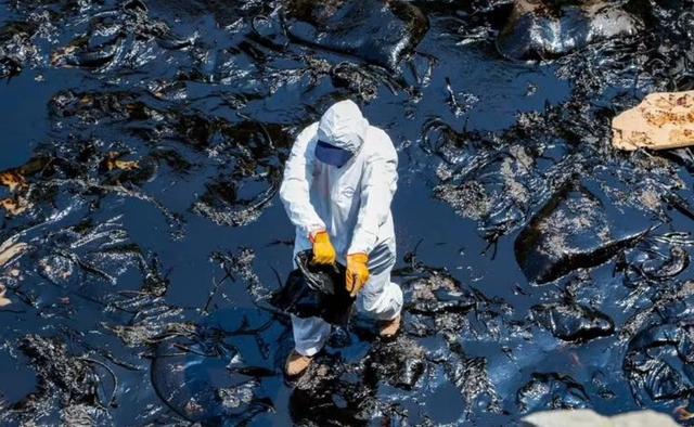 多国损失高达百亿，联合要求中国废除禁令，温铁军：轮不到你发言