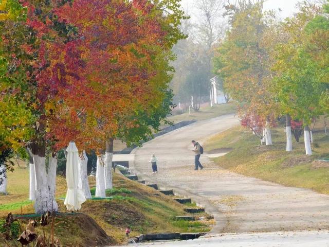田曦薇、胡一天打卡西海岸！约你来玩！