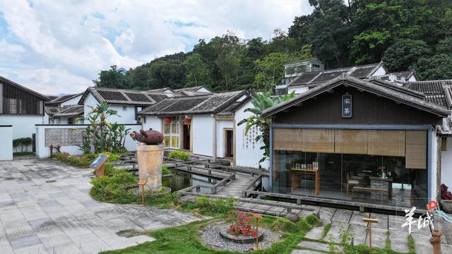 潮州潮安区东兴村：又见茶山 | 大美岭南·百村焕新记