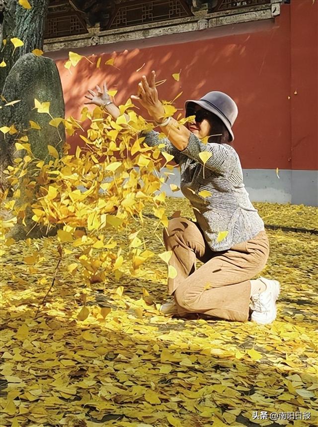 南阳金色之约，走起！