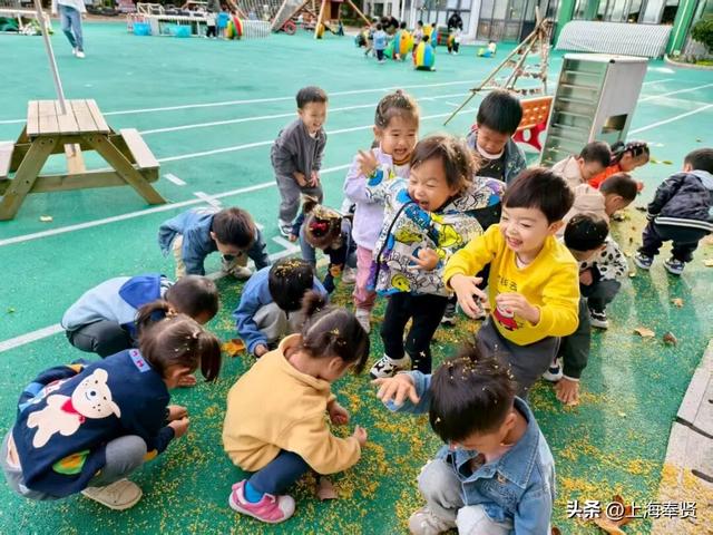 奉浦校园初冬美景大赏，你家娃的学校藏着这样的冬日浪漫