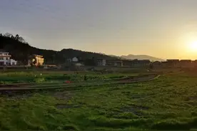 从小一起玩的邻居成了黑社会分子，过年来我家玩，我该如何应对？图片