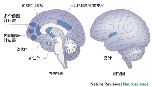 每天冥想10分钟,启动大脑修复模式