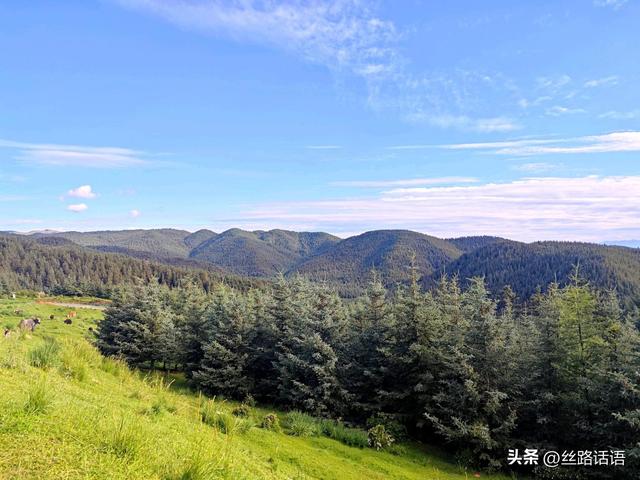 夏日避暑何处去？焉支山“天然氧吧”等你来寻