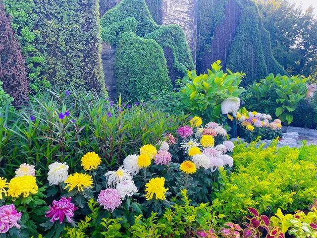十一别挤热门景点啦！北京这处「植物乐园」藏满闯关、市集、魔术秀~