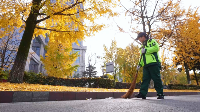 马克龙也要参观的都江堰，到底有多美？