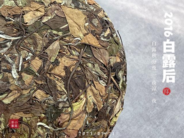 如何辨别老白茶的好坏？4个小技巧，学会了你也能成为高手