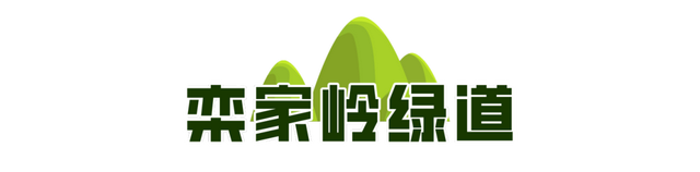 济南12条绝美山林绿道，有山有水适合吸氧，打卡点超多！