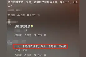 为啥说过山峰蛇蛋绝不能碰？网友分享让人细思极恐，太可怕了!图片