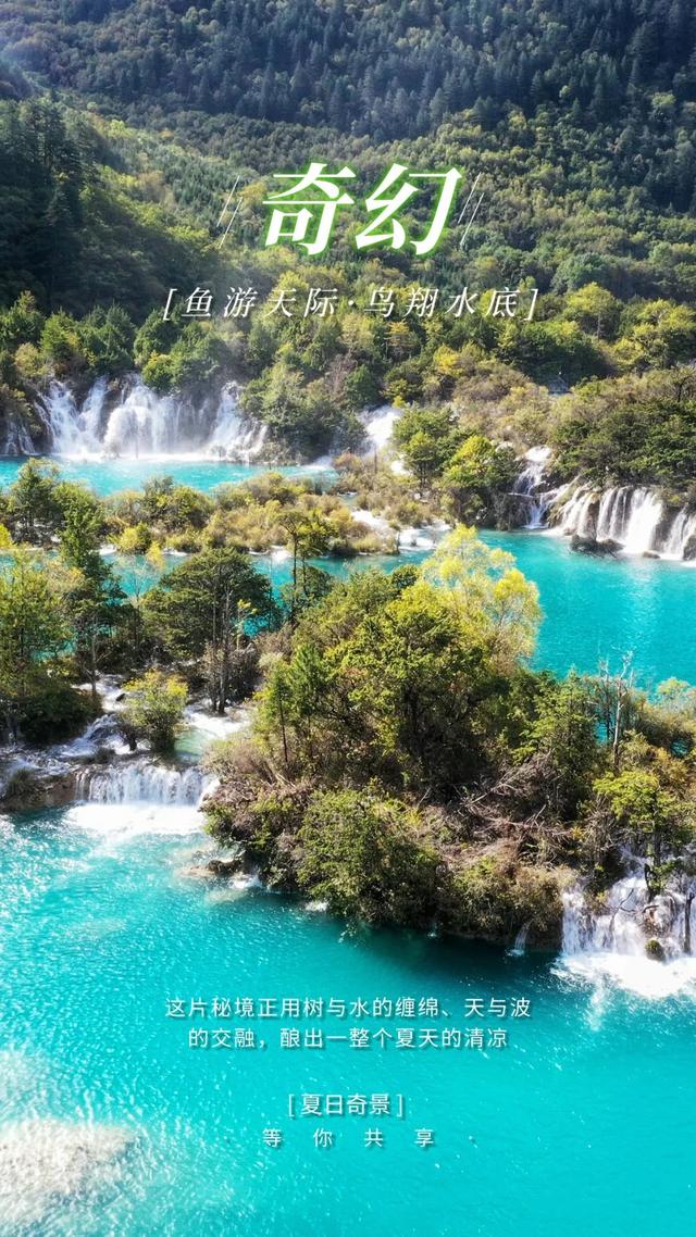 鱼跃天际、鸟翔水底，九寨沟邀你共赏夏日奇景~