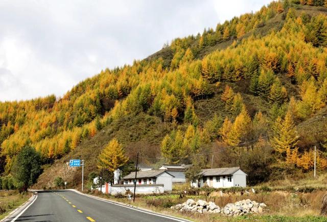 兰仓秋，染山河。