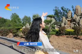 【周游冀】邯郸：打卡河北宝藏县城 不踩雷的磁州之旅图片