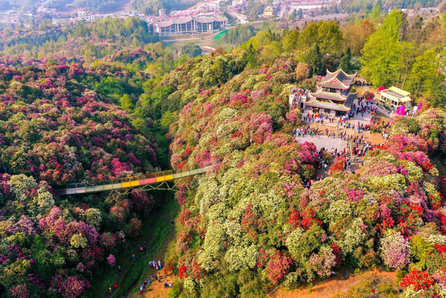 贵州被低估的10个绝美景区，个个都是世界级旅游名片，你去过几个
