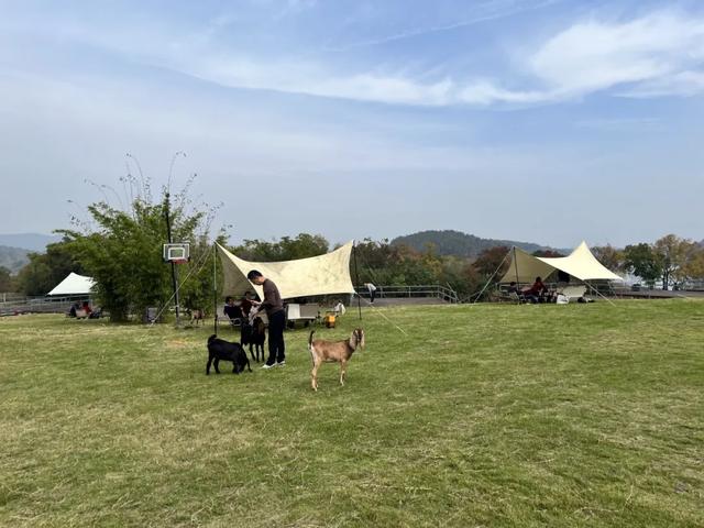 国家级3A 黄陂再+1