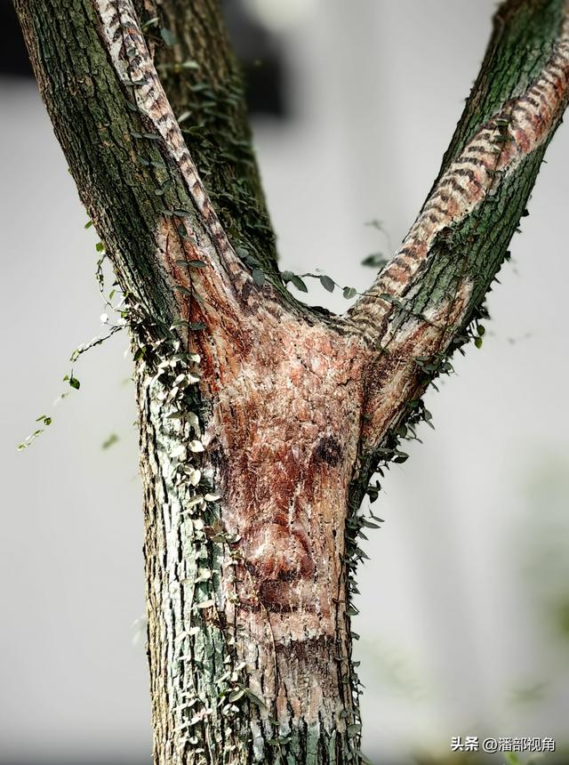 登无锡吼山，观沿途风景