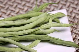 又到了吃豆角的季节 网友调侃：北方人的夏季噩梦豆角来了图片