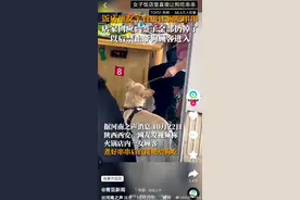 哈哈哈，评论区翻车了，全都在夸汪汪队立大功 ​图片