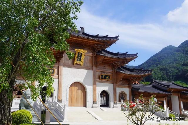 寻找福州八月最美的稻田