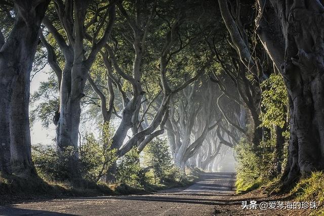 世界这么大，总要有一次童话之旅！十大绝美目的地推荐