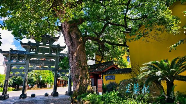 皖浙摩旅二人转——桐庐荻浦村篇