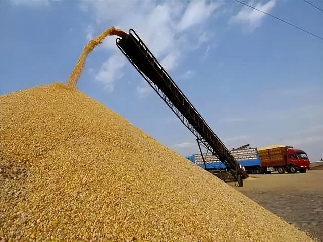 820亿斤，再造一个东北！为何说内蒙古是中美粮食战争的一张王牌