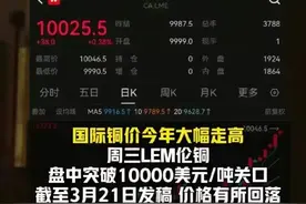 铜将成为稀土后又一个世界级争抢的稀有金属？博弈拉开序幕图片