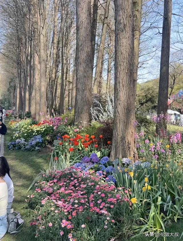 我是重庆人，来了趟浙江杭州，这三个疑问一直不明白，忍不住说下