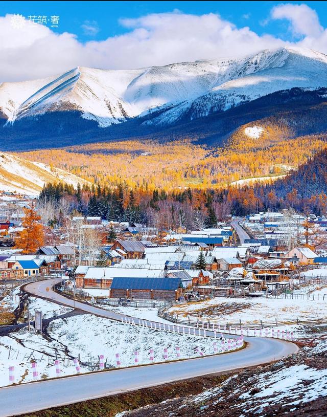 阿勒泰冬日仙境，雪域精灵跳跃，我被这片童话世界震撼了