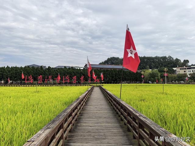永葆兵本色 树好党员样——闽西红色之旅纪行之一