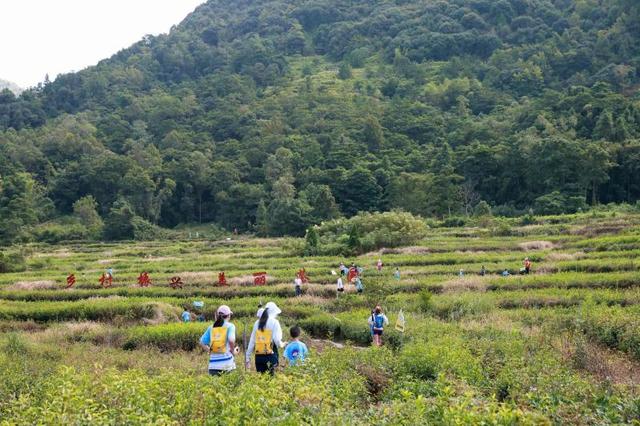 温州平阳闹村：双节嘉年华启幕！生态文旅赋能静乡雾谷
