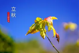 七月初四是立秋，记得：1不出，2不走，3不吃！尊重老传统图片