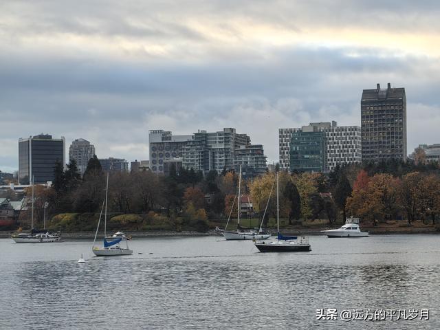 温哥华游记（六）