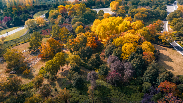 图说遂平：锦绣斑斓醉秋光
