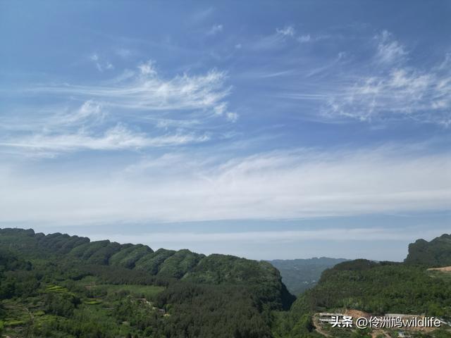 四川行(68)古蜀道——金牛道60公里徒步⑤普安到翠云廊沿途航拍