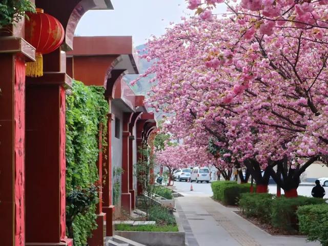 在两当，春天就要Color Walk→