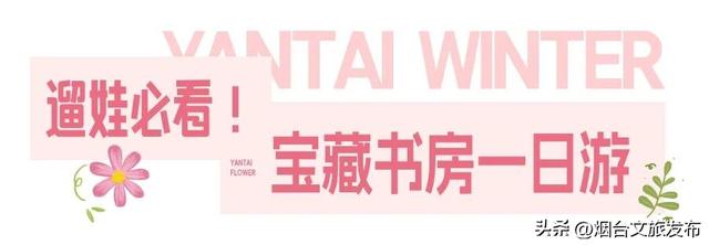 【乐游烟台】周末好去处丨全是花花！烟台神仙小店被花包围了