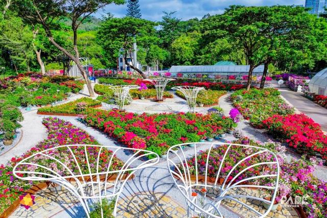 挤爆了！今天莲花山都是人人人，网友：感觉全深圳都来了！