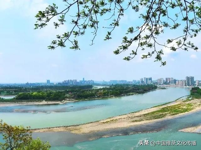 千缕茶香飘金砂,临窗赏景任风流